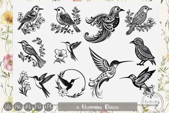 Humming Birds, Floral Birds, Flying Bird