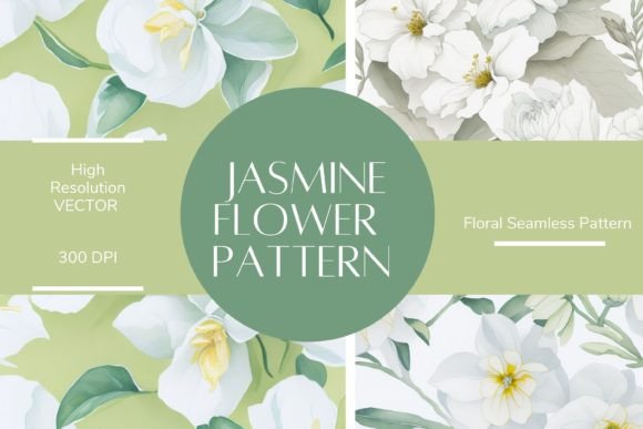 Jasmine Flower Seamless Pattern Graphics and Patterns Review